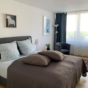 Studio mit Kingsize-Bett